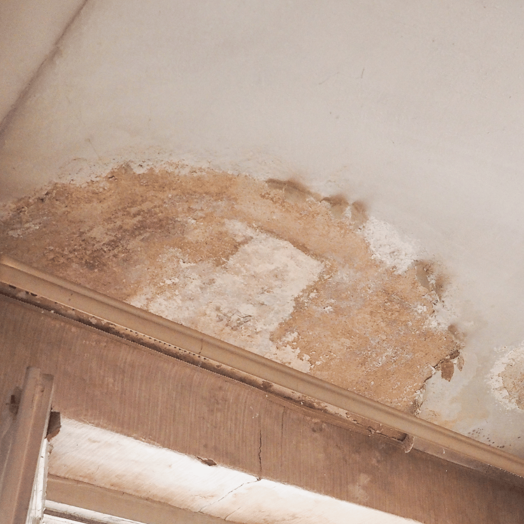 selling a house damp issues